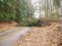 Stormschade