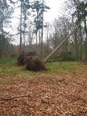 Stormschade