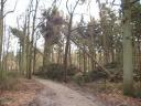 Stormschade