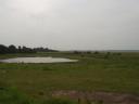 Poeltje bij de Kraaienberg (Bergen op Zoom), de Brabantse wal is goed zichtbaar in het landschap.