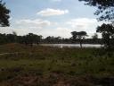 Strijbeekse Heide met de Rondven