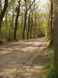 P5030012