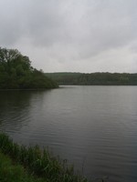 P5040001