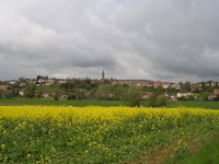 P5040002