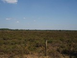 P7020098