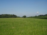 P7080101