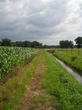 P7080104