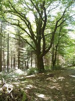 P7210032