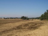 P8130001