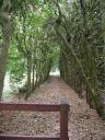 Groene Bedstee
