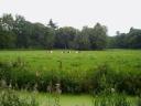 achter Groot Wansborn