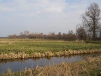 P2240086