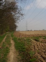 P4220008
