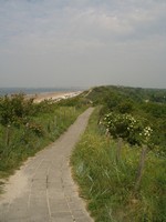 P5230053