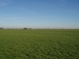 P2100066