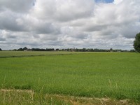 P6130065