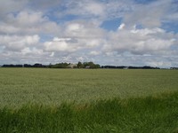P6130066