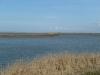 Oostvaardersplassen