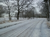 Strabrechtse Heide
