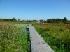 Hageven