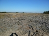 Grote Heide