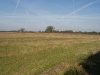 Kampina