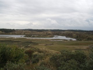 Kennemerduinen