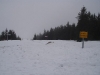 Struthof – col de la Katzmatt 