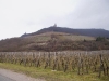 D203 – Châtenois 