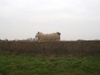 Oude Herkingse Zeedijk
