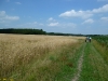 Ruinen - Groote Esch