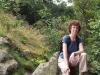 Harz      