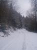 Sneeuw