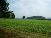 Rimogne
