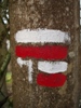 Routeaanwijzing