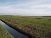 Schipluiden