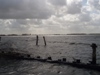 Nieuwkoopse Plassen 