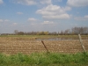 Kleine Wiel