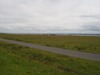 Burgh Marsh