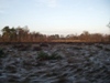 Elsenerveld