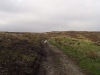 Inishowen Head walk 