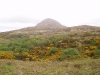Connemara      