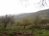 Sardinië: Monte Rasu 