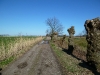 Schietveldweg