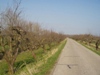 Appeldijk