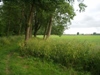 Langs de Assche Wetering 