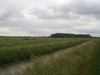 Langs de Assche Wetering 