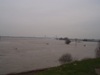 Langs de Waal