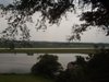 Uitzicht op Nederrijn 