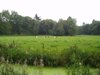 Achter Groot Wansborn